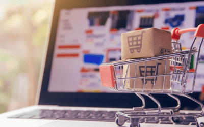 Dominate Your Niche with E-commerce Marketing: Insights from Zen 9 Marketing