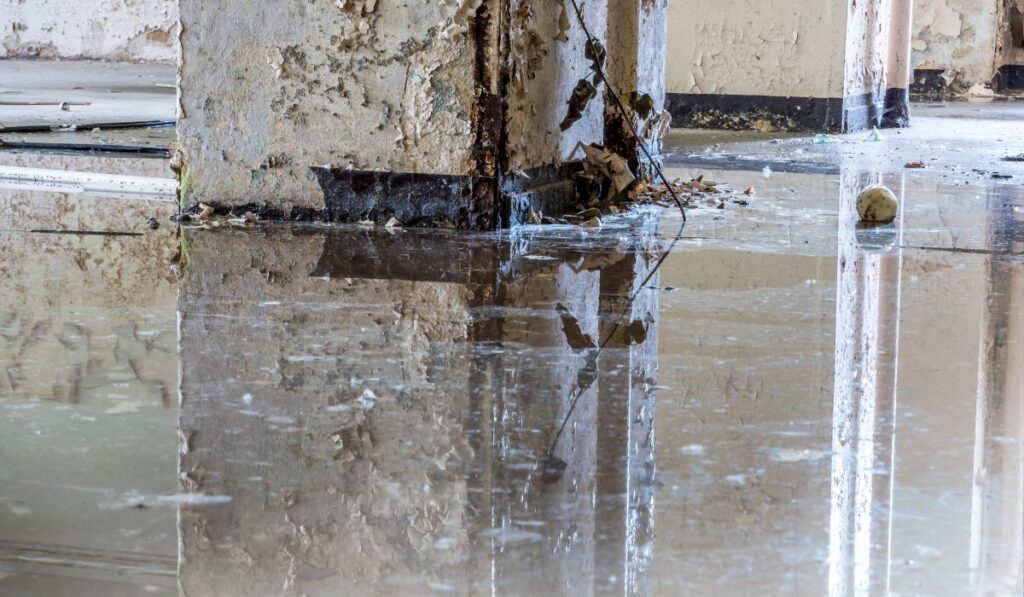 Zen 9 Marketing Marketing and SEO for water damage restoration companies wet floor after a flood